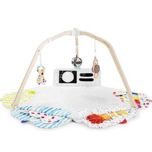 Lovevery Play Gym